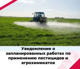 Внимание! Обработка полей!