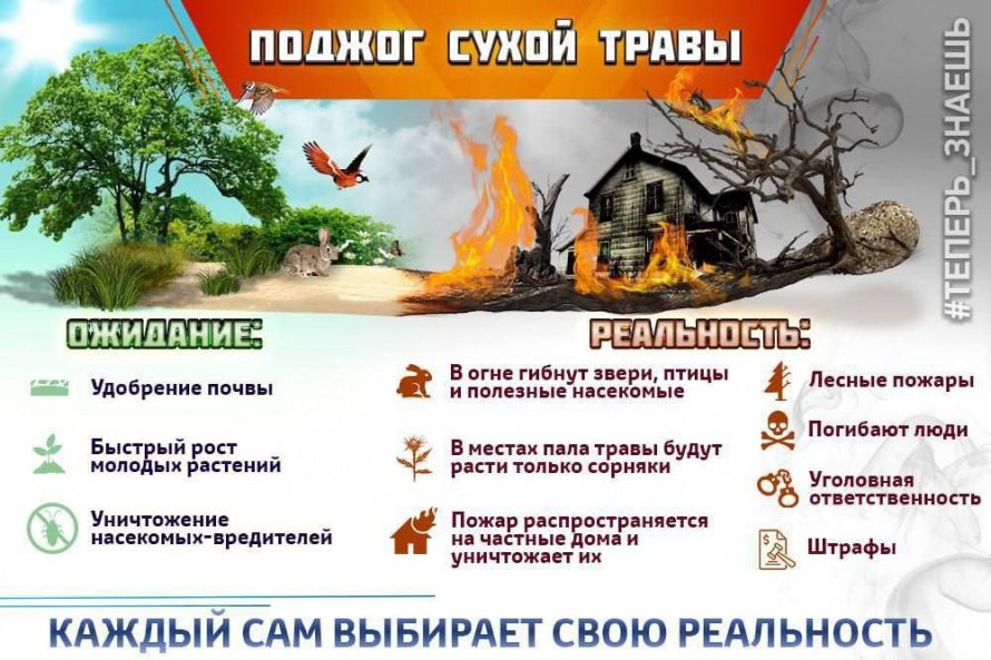 Поджог сухой травы