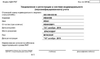 Жители Кубани будут получать уведомления вместо «зеленой карточки» СНИЛС