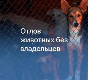 Уважаемые жители Новоленинского сельского поселения!