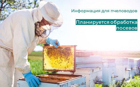 КФХ Бурда А.Г. информирует население и владельцев пасек