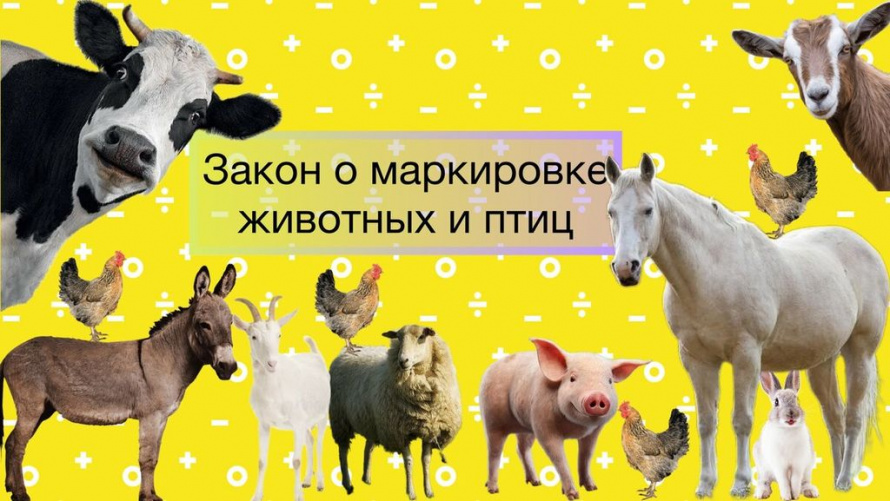 Уважаемые жители Новоленинского сельского поселения           Тимашевского района!