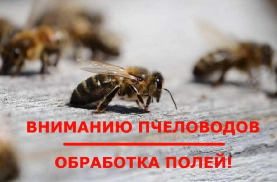 ИП ГКФХ Трояновский А.О. информирует население и владельцев пасек о предстоящем внесении пестицидов в период со 2 по 5 апреля 2026 года