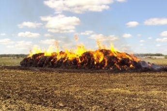 Порядок использования открытого огня и разведения костров на землях сельскохозяйственного назначения и землях запаса