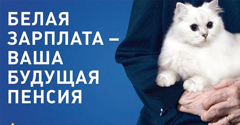 Белая зарплата сегодня — стабильная пенсия завтра