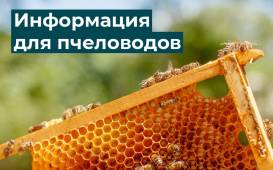 КФХ Бурда А.Г. информирует население и владельцев пасек 