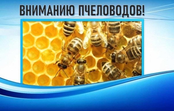 Обработка полей